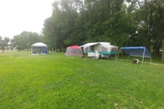 Site Field Day