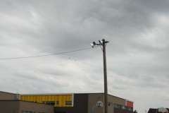 Antenne loop horizontale
